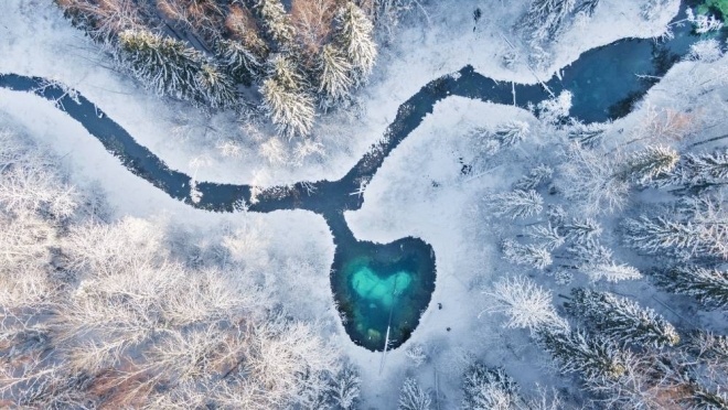 Фотография «Сердце леса» стала победителем фотоконкурса священных природных мест