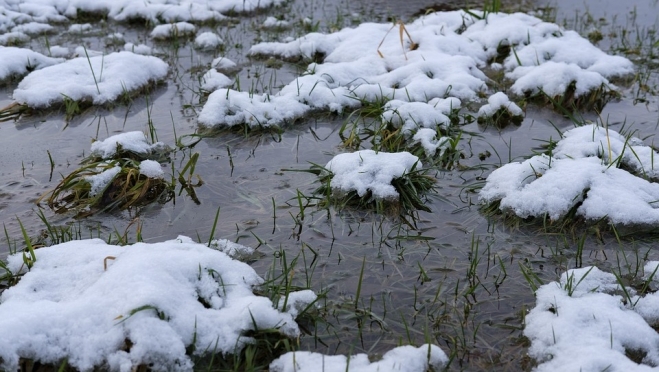 В ближайшее время морозов в Марий Эл можно не ждать