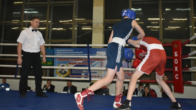 Боксёры республики собрались на чемпионат Марий Эл по боксу