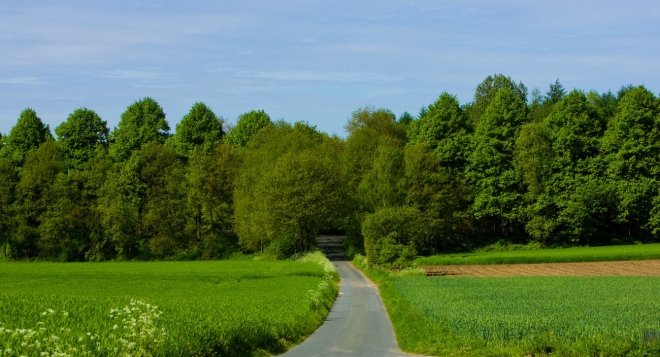 Путешествие в марийскую деревню