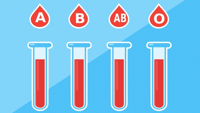Жители Козьмодемьянска сдали 30 литров цельной крови