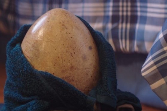 Питомец юрского периода. Утраченная тайна