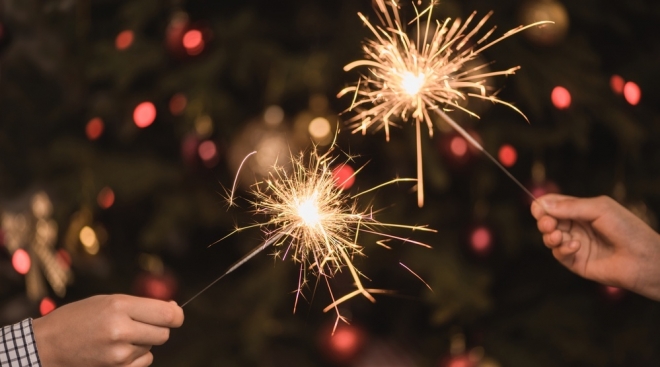 В Йошкар-Оле с 26 декабря вводят особый противопожарный режим