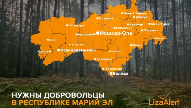 Волонтёры «ЛизаАлерт» уже семь лет помогают искать пропавших людей в Марий Эл