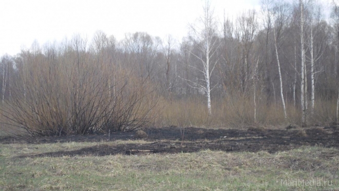 Пожароопасный сезон в Марий Эл начнётся с 19 апреля