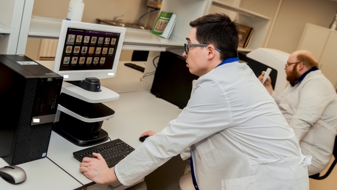 Учёные МарГУ раскрыли потенциал гормона насекомых для лечения мышечной ишемии