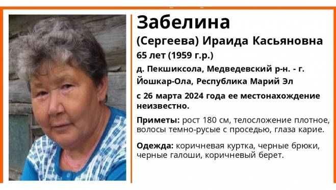 В Медведевском районе два дня назад пропала 65-летняя женщина