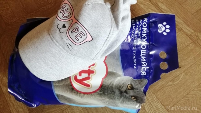 Житель Звенигово вместо авторегистратора получил кошачий наполнитель