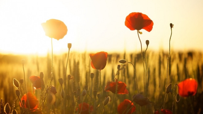 Во второй половине июля вернётся тепло