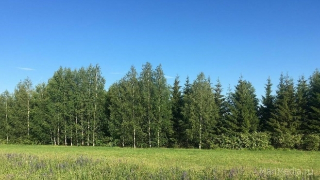 Марий Эл вошла в топ-20 регионов России по экологическим показателям