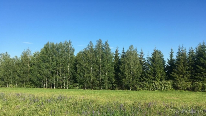 В Марий Эл продлён противопожарный режим ещё в двух районах