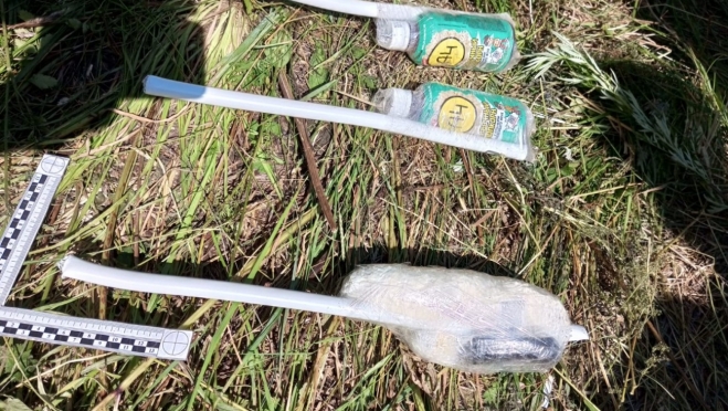 Житель Нижегородской области пытался перебросить в ИК-20 наркотики и алкоголь