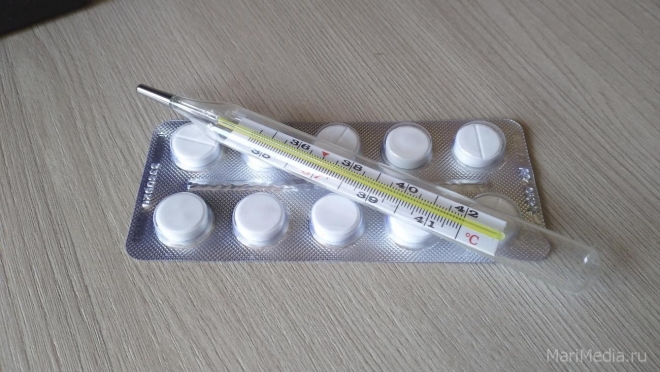 В Марий Эл отмечен рост простудных заболеваний и гриппа