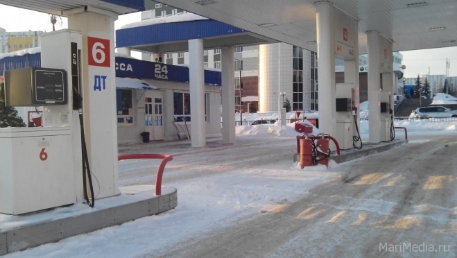 У йошкаролинца на заправке похитили сотовый телефон