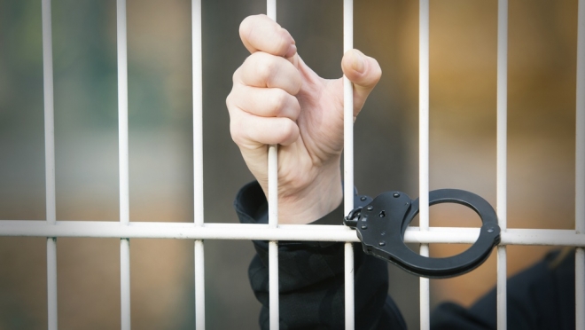 В Марий Эл все члены экономической ОПГ получили свои сроки, кроме главаря