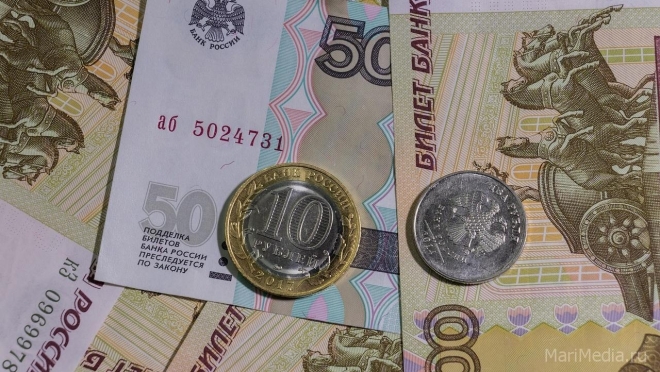 В Марий Эл за год среднемесячная заработная плата выросла на 6,5%