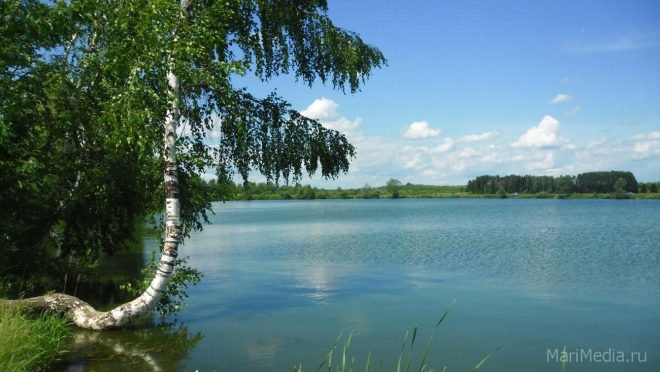 Волжский городской суд признал жилищное строительство на берегу Куруктурского озера незаконным