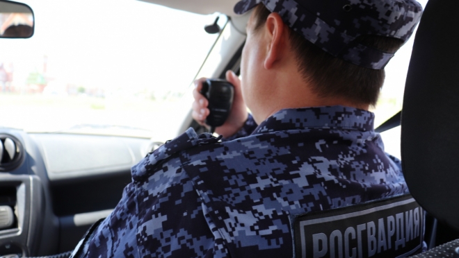 Сотрудники Росгвардии задержали воровку