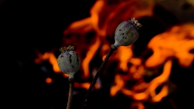 Полицейские по наводке задержали подозреваемых в незаконном хранении наркотиков