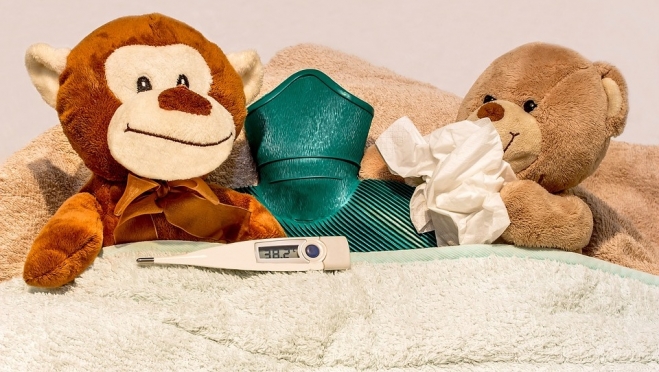 В Марий Эл зарегистрировано 8 случаев гриппа