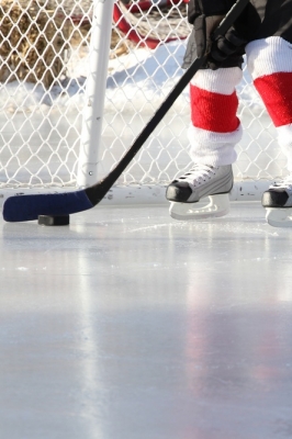 Региональный чемпионат XV Всероссийского фестиваля по хоккею среди любительских команд дивизиона «Лига мечты»