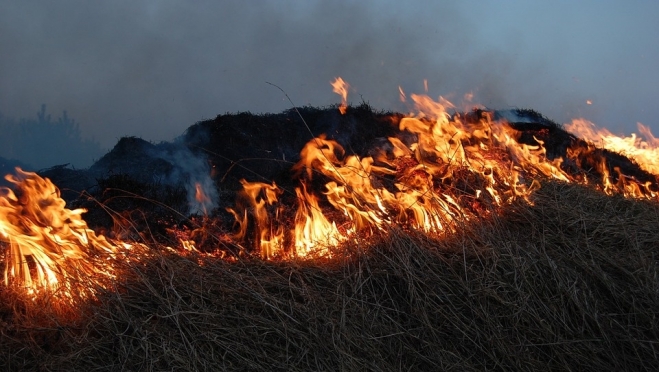 В Марий Эл начинает гореть сухая трава