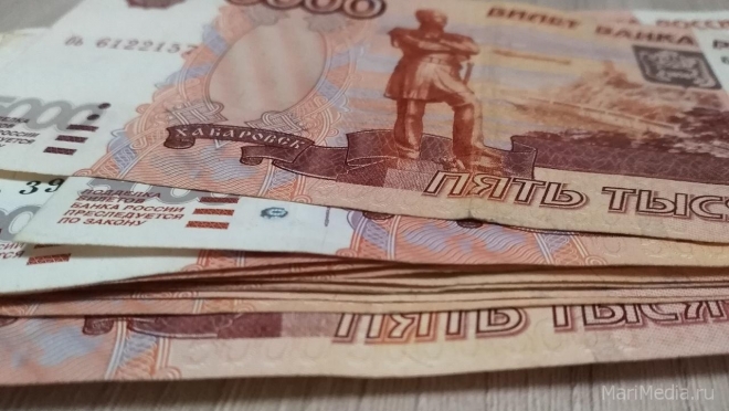 Полицейские по горячим следам раскрыли кражу крупной суммы денег