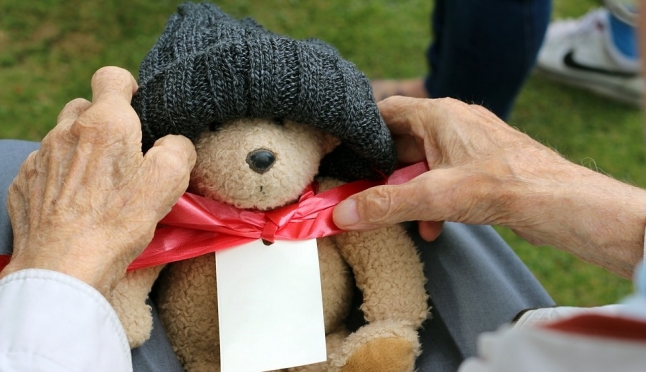 Для пенсионеров Марий Эл предложили создать «новогодний капитал»