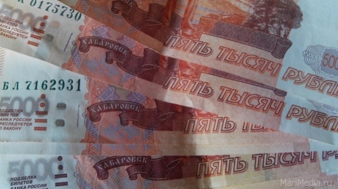 Йошкаролинка перевела лжебанкиру 69 тысяч рублей