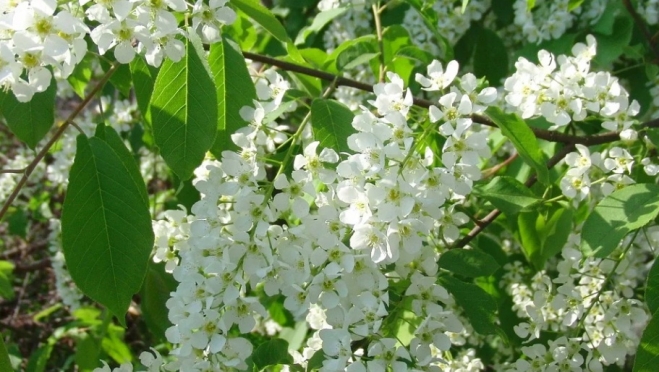 Марий Эл ожидает резкое похолодание