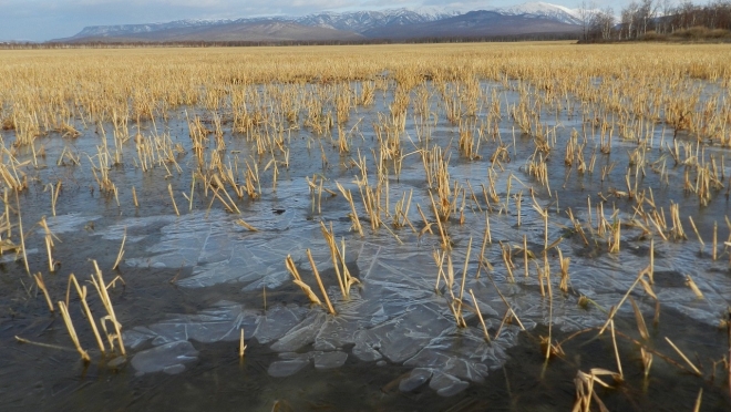 Новости ПФО: в ноябре пять детей провались под лёд – двое утонули