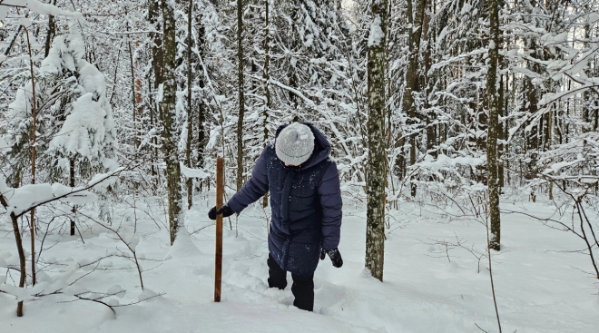 В Ботаническом саду Йошкар-Олы измерили высоту снежного покрова