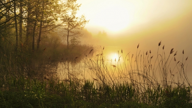 Нерадивый отец из Марий Эл погасил алименты после ареста его участка на берегу реки