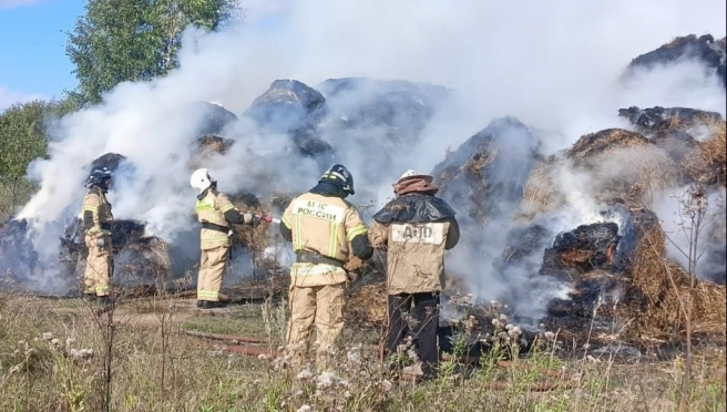 В Марий Эл за неделю пожарные спасли с мест возгораний двух человек