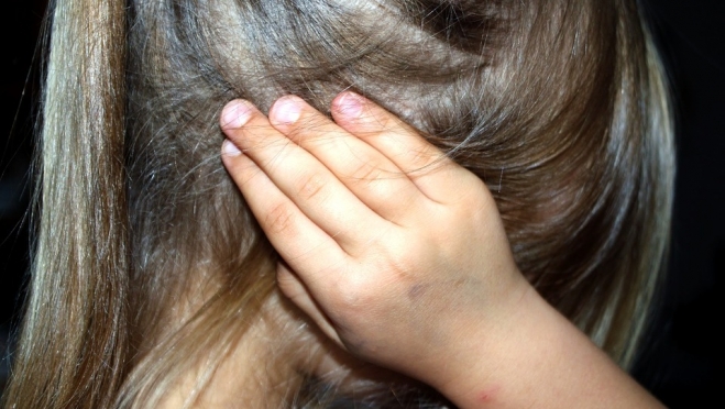 Социальный проект работы с дистантными семьями стартует в Марий Эл