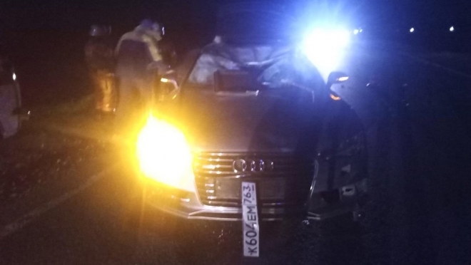 На автодороге «Кокшайск – Красногорский» водитель Audi сбил лося