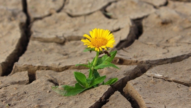 Первая декада июля в Марий Эл будет аномально жаркой
