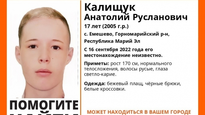 В Марий Эл разыскивают 17-летнего подростка и 84-летнюю бабушку