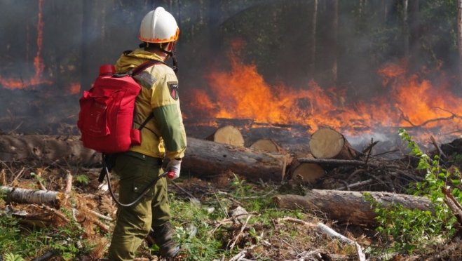 В Кокшайском лесничестве в выходные дни произошло два пожара из-за грозы