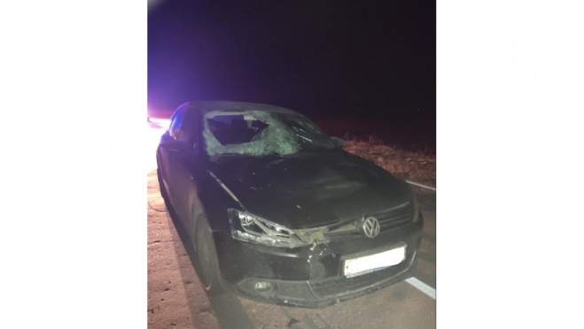 На 85 км автодороги «Йошкар-Ола – Козьмодемьянск» сбили пешехода