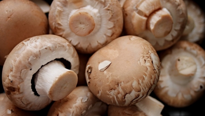 Жители Марий Эл после Пасхи смогут купить грибы по более низким ценам
