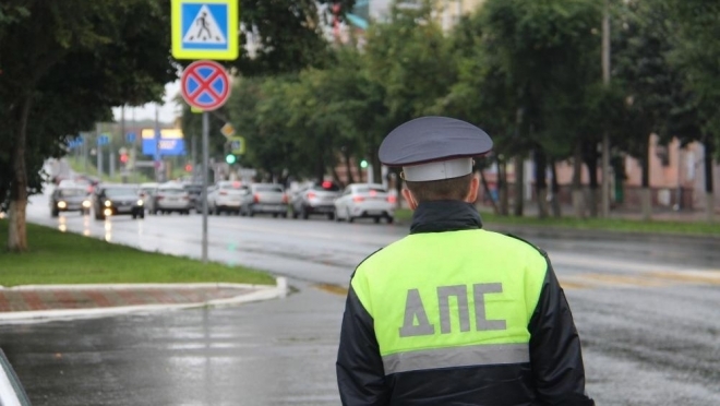 Какие результаты показала операция «Пешеход» в Марий Эл