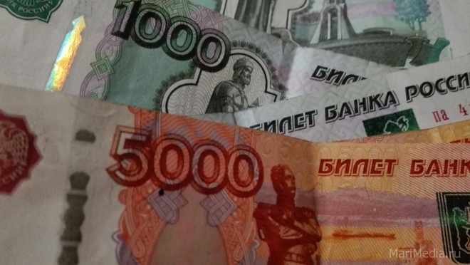 В Марий Эл долги по зарплате превышают 25 млн рублей