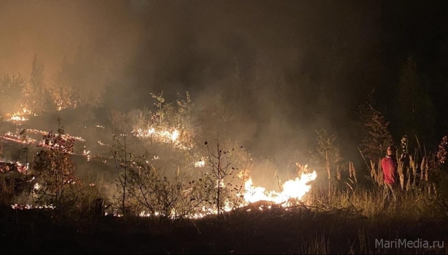 Риск возгорания в марийских лесах местами по-прежнему достигает 5 класса опасности
