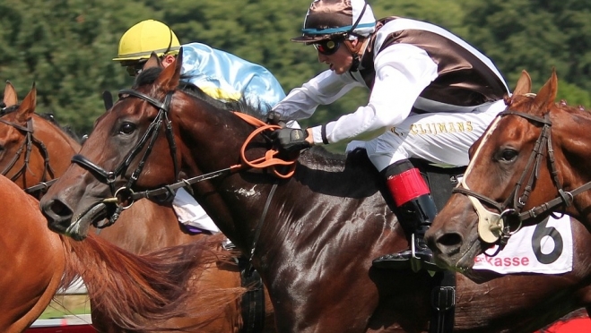 Впервые в Марий Эл появились спортивные федерации «лапты» и «конного спорта»