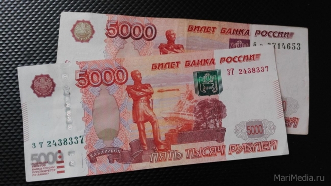 Житель Марий Эл заплатит штраф за неподчинение судебным приставам