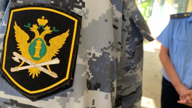 Жительница Горномарийского района задолжала МЧС 800 тысяч рублей