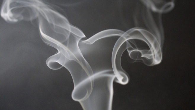 Молодежный парламент Марий Эл высказался против вейпинга