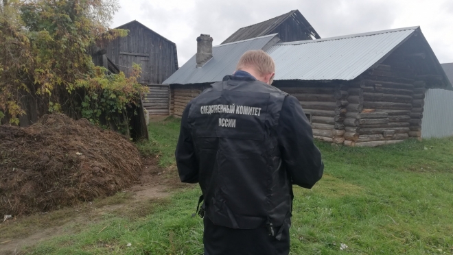 Жителя Звениговского района подозревают в убийстве односельчанки