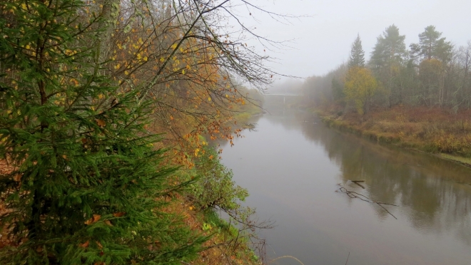 В лесах Марий Эл сохраняется чрезвычайный класс пожароопасности